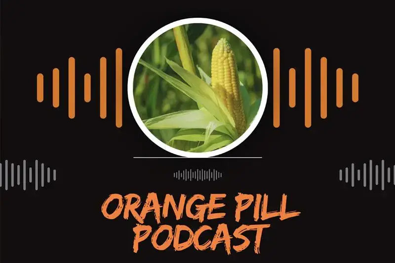 orange pill podcast with maizinol as the background