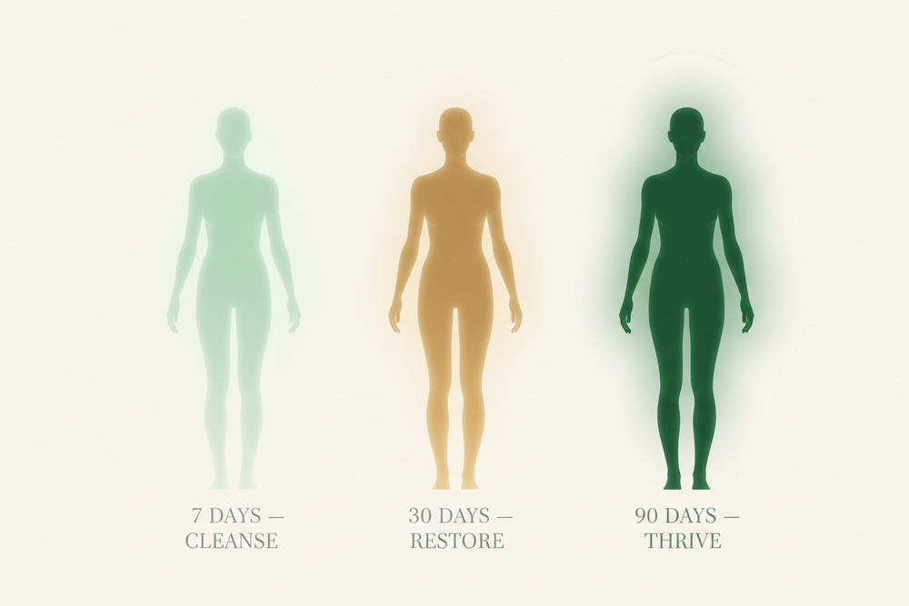 Aloe Select Timeline Silhouettes